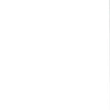 Twin White Canopy Bed - Homeroots - Flyclothing LLC