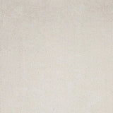 8' X 11' Ivory Indoor Shag Rug - Homeroots - Flyclothing LLC