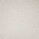 8' X 11' Ivory Indoor Shag Rug - Homeroots - Flyclothing LLC