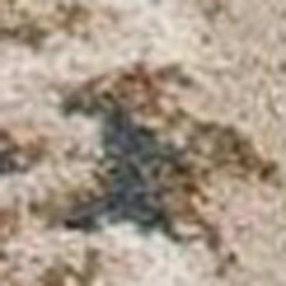 9' X 12' Slate Blue and Ivory Floral Area Rug - Homeroots - Flyclothing LLC