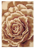 5' X 8' Ivory Floral Indoor Area Rug - Homeroots - Flyclothing LLC