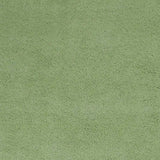 5' X 7' Spearmint Green Indoor Shag Rug - Homeroots - Flyclothing LLC