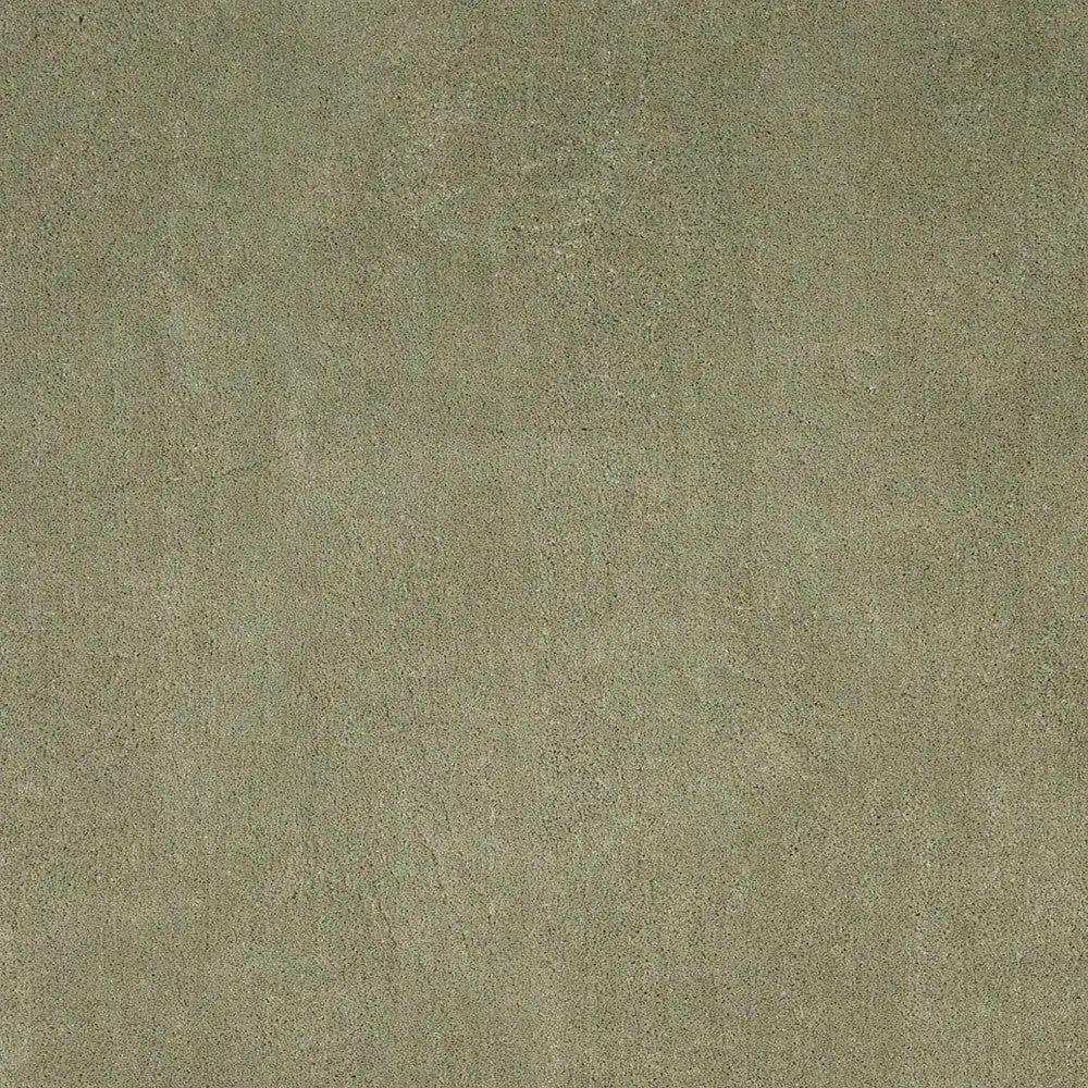 5' X 7' Sage Green Indoor Shag Rug - Homeroots - Flyclothing LLC