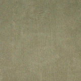 5' X 7' Sage Green Indoor Shag Rug - Homeroots - Flyclothing LLC