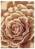 2' X 3' Ivory Machine Woven Hand Carved Oversized Floral Indoor Accent Rug - Homeroots - Flyclothing LLC