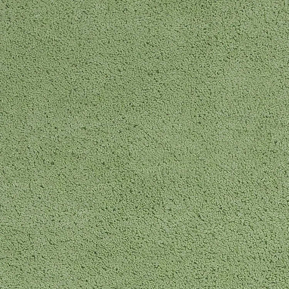 2' X 4' Spearmint Green Indoor Shag Rug - Homeroots - Flyclothing LLC