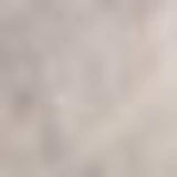 8' Light Grey Polypropylene Runner Rug - Homeroots - Flyclothing LLC