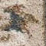 3' X 5' Slate Blue Floral Area Rug - Homeroots - Flyclothing LLC