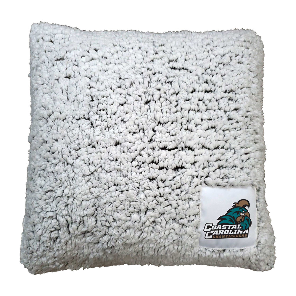 Coastal Carolina Campus Colors Frosty Throw Pillow - Logo Brands - Flyclothing LLC