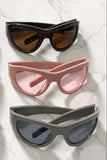 Polycarbonate Frame Cat-Eye Sunglasses - Trendsi - Flyclothing LLC