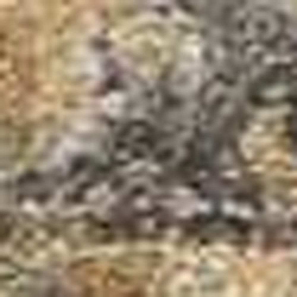 3' X 5' Coffee Brown Machine Woven Floral Medallion Indoor Area Rug - Homeroots - Flyclothing LLC