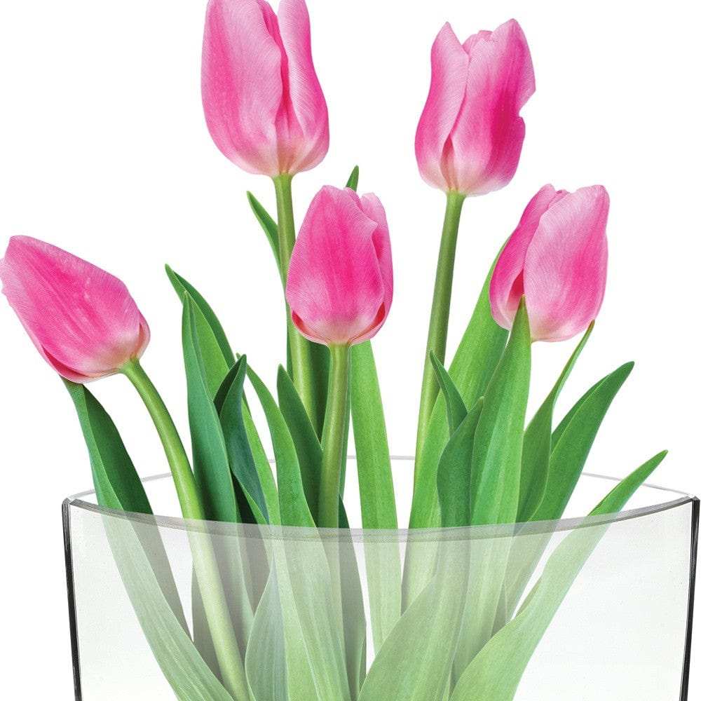 11 Mouth Blown Crystal European Made Pocket Shaped Vase - Homeroots - Flyclothing LLC