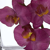 65 Mouth Blown European Made Medium Glass Pocket Vase - Homeroots - Flyclothing LLC