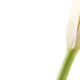 8 Mouth Blown Crystal Bud Vase - Homeroots - Flyclothing LLC