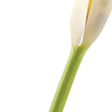 8 Mouth Blown Crystal Bud Vase - Homeroots - Flyclothing LLC