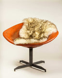 2' X 3' Dark Cream New Zealand Natural Sheepskin Rug - Homeroots - Flyclothing LLC