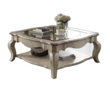 42" Clear And Taupe Glass And Solid Wood Square Coffee Table With Shelf - Homeroots - Flyclothing LLC
