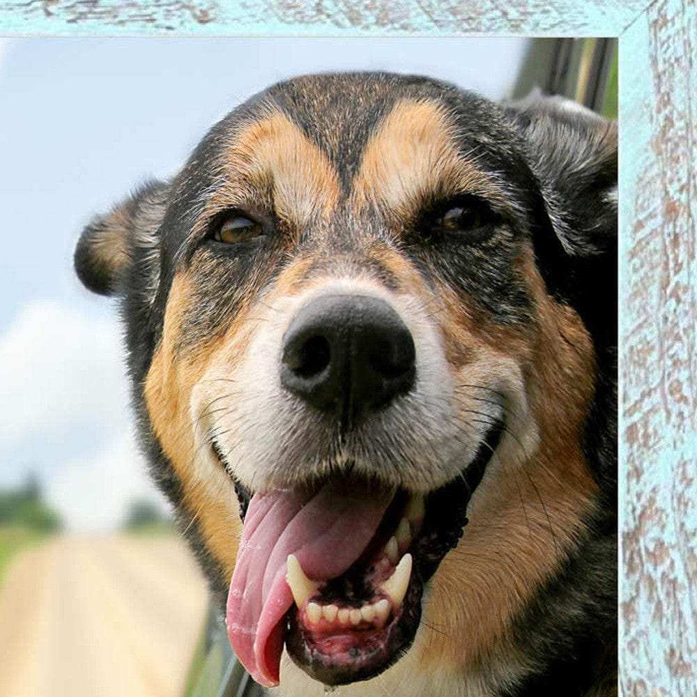 10X10 Rustic Blue Picture Frame - Homeroots - Flyclothing LLC