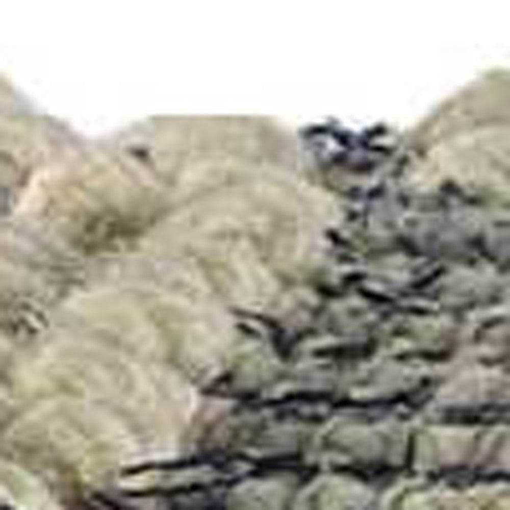 Blue Denim And Ivory Square Pouf With Cotton Stitched - Homeroots - Flyclothing LLC