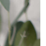 12" Farmhouse Weathered Gray Wooden Large Egg - Homeroots - Flyclothing LLC