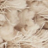 14" X 20" Beige Throw Pillow - Homeroots - Flyclothing LLC