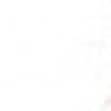 Pale Gray Knubby Plush Lumbar Throw Pillow - Homeroots - Flyclothing LLC