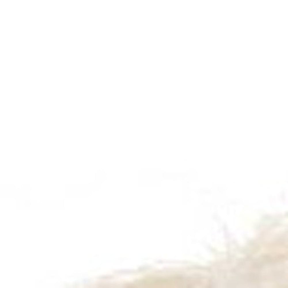 14" X 20" Beige Throw Pillow - Homeroots - Flyclothing LLC