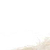 14" X 20" Beige Throw Pillow - Homeroots - Flyclothing LLC