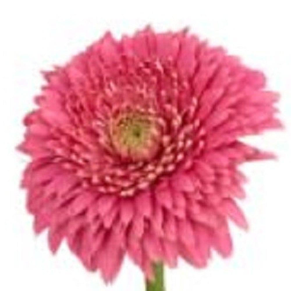 6" Clear Crystal Glass Square Table Vase - Homeroots