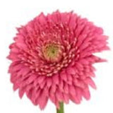 6" Clear Crystal Glass Square Table Vase - Homeroots