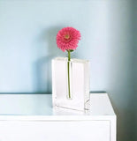 8" Clear Crystal Clear Square Table Vase - Homeroots