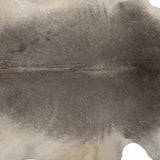 6' X 7' Gray Natural Cowhide Area Rug - Homeroots - Flyclothing LLC