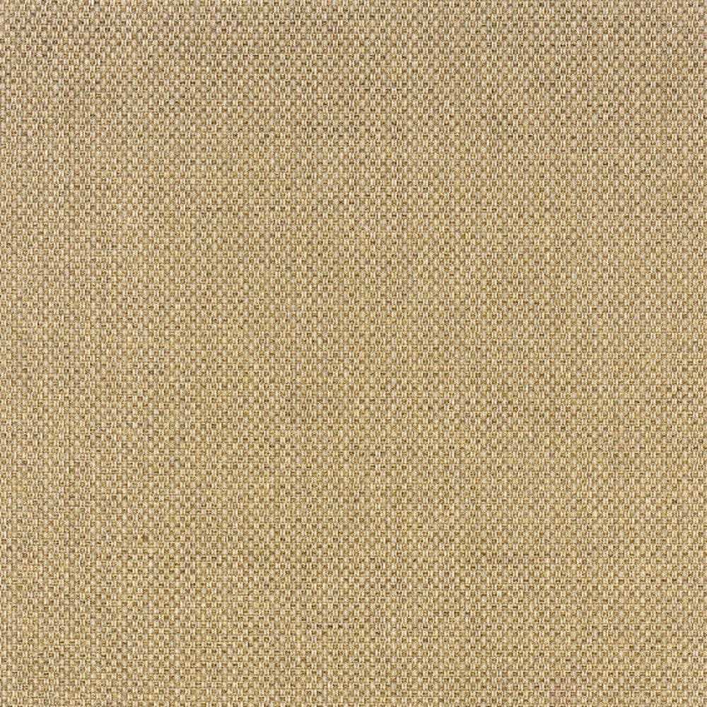 5' X 8' Beige Indoor Outdoor Area Rug - Homeroots - Flyclothing LLC
