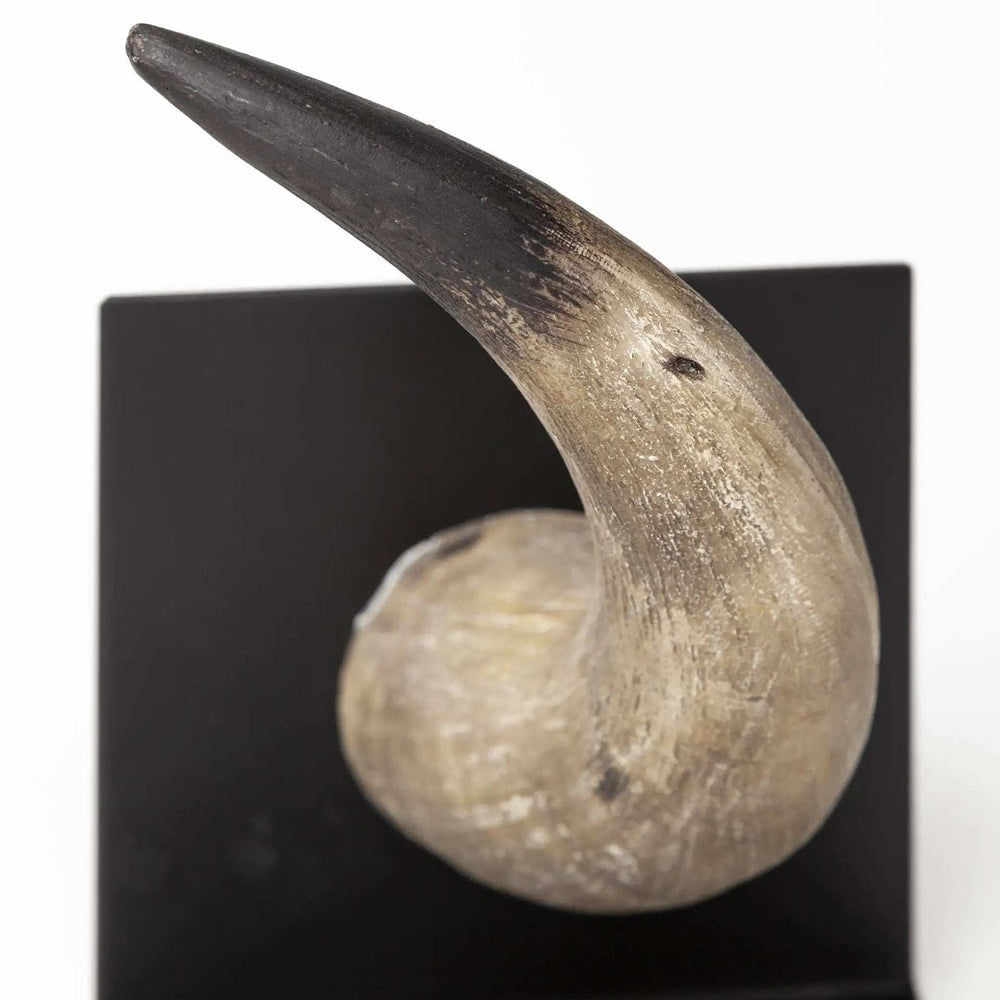 Bull Horn Replica Bookends - Homeroots - Flyclothing LLC