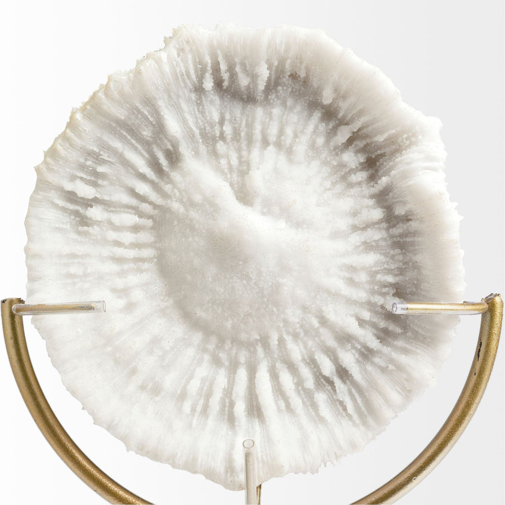 15" Gold and White Metal and Resin Sand Dollar Tabletop Sculpture - Homeroots - Flyclothing LLC