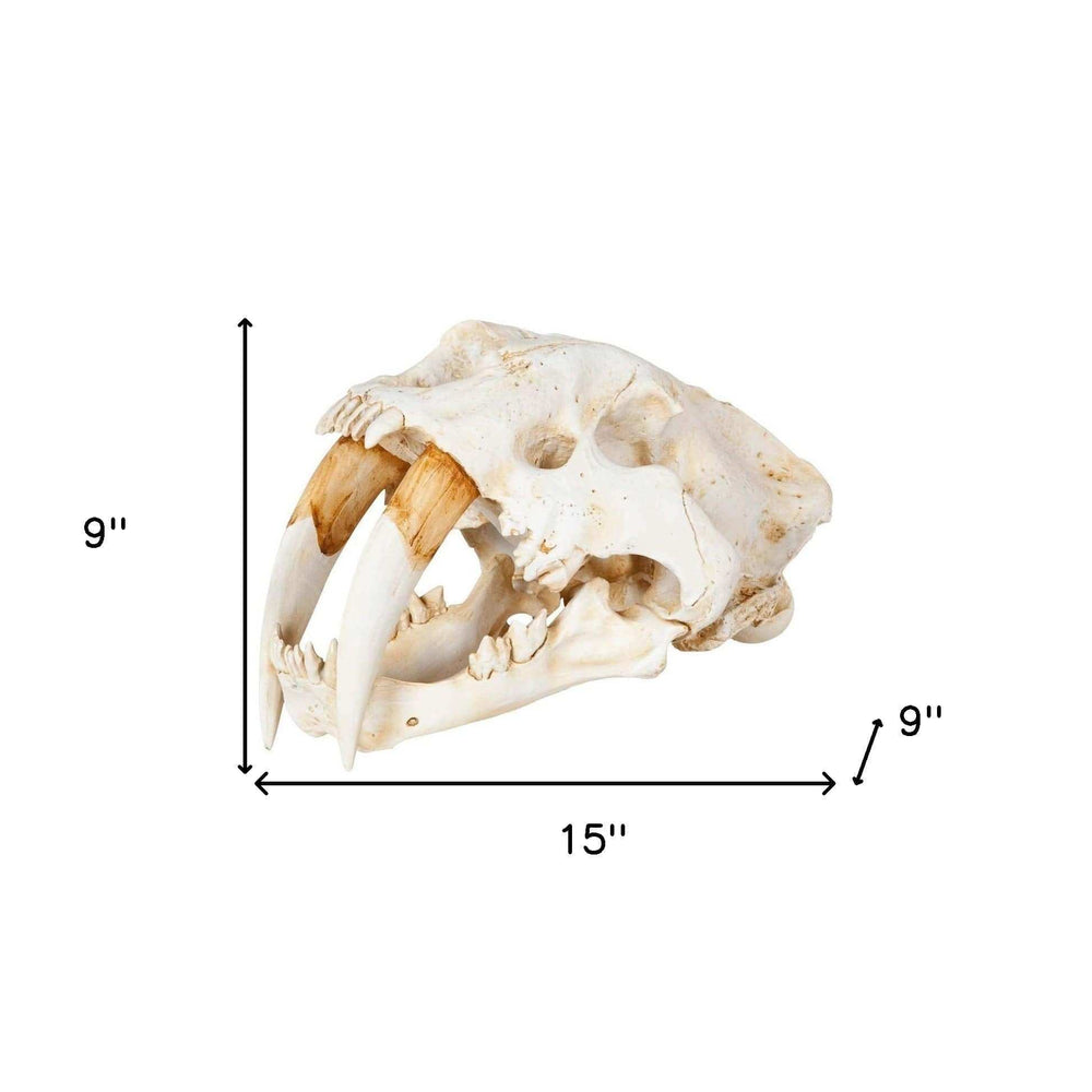 Authentic Replica Sabertooth Skull Sculpture - Homeroots - Flyclothing LLC