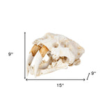 Authentic Replica Sabertooth Skull Sculpture - Homeroots - Flyclothing LLC