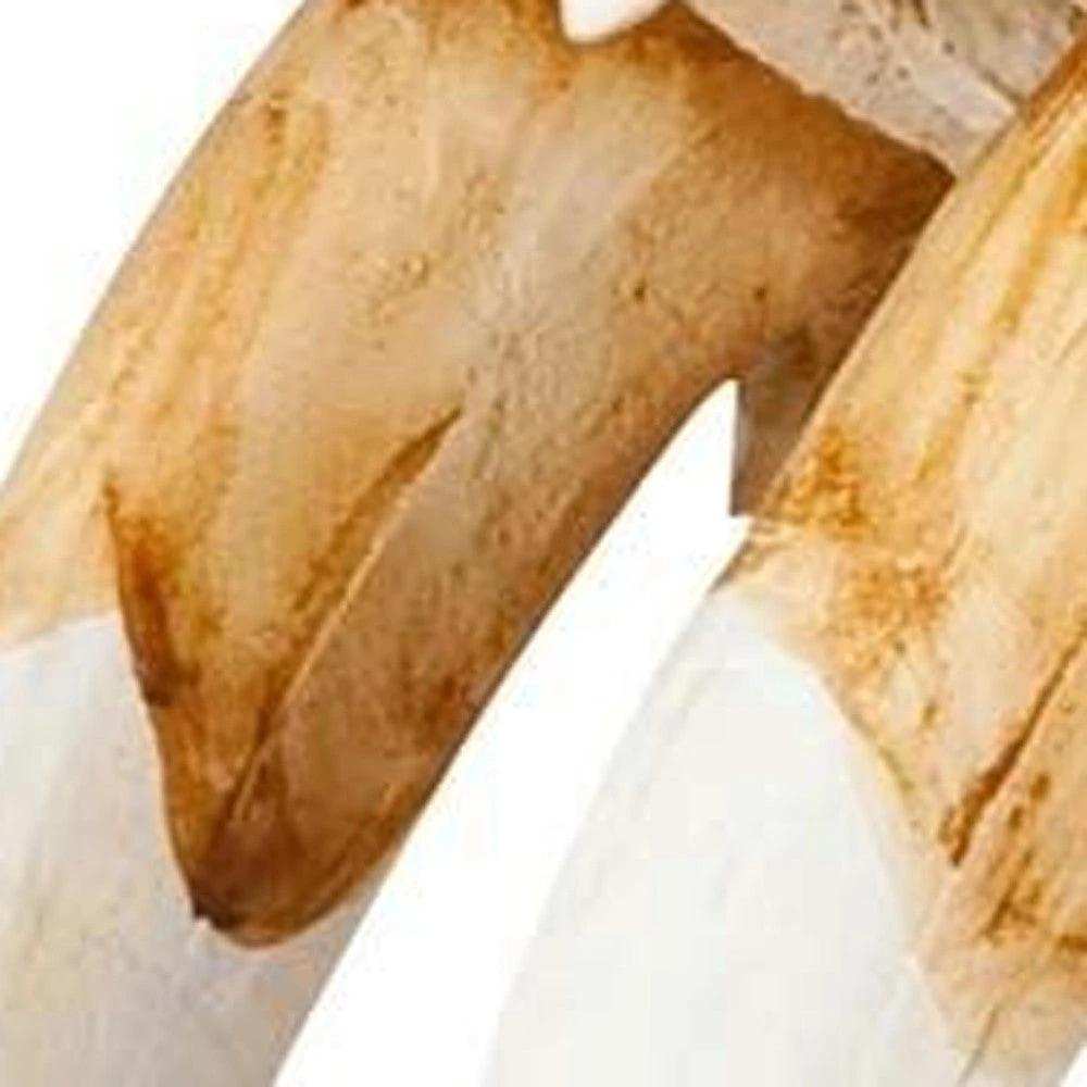 Authentic Replica Sabertooth Skull Sculpture - Homeroots - Flyclothing LLC