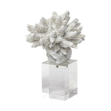 6" White Contempo Coral and Glass Sculpture - Homeroots - Flyclothing LLC