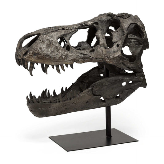 Authentic Replica T Rex Skull Sculpture - Homeroots - Flyclothing LLC