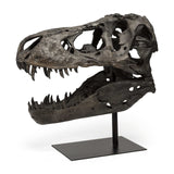 Authentic Replica T Rex Skull Sculpture - Homeroots - Flyclothing LLC