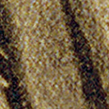 Vintage Alexander Vintage Magic Unframed Print Wall Art - Homeroots - Flyclothing LLC