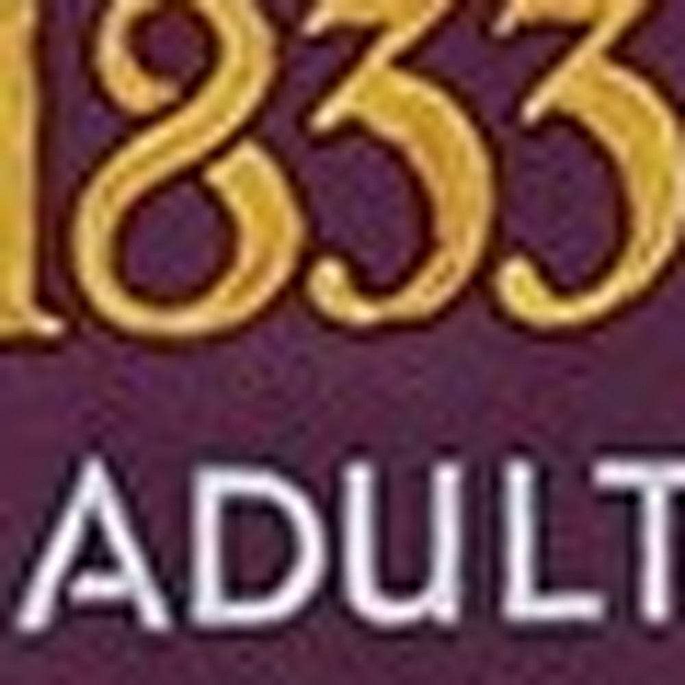 Vintage 1933 Chicago Worlds Fair Unframed Print Wall Art - Homeroots - Flyclothing LLC