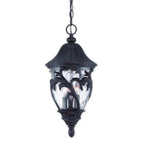 Three Light Matte Black Leaf Detail Hanging Light - Homeroots - Flyclothing LLC