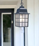Matte Black Window Pane Lantern Hanging Light - Homeroots - Flyclothing LLC