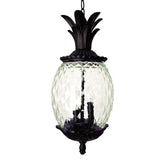 Clear and Black Three Light Pineapple Outdoor Hanging Pendent Light - Homeroots - Flyclothing LLC