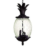 Clear and Black Three Light Pineapple Outdoor Hanging Pendent Light - Homeroots - Flyclothing LLC