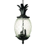Lanai 3-Light Black Coral Hanging Light - Homeroots - Flyclothing LLC