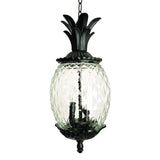 Lanai 3-Light Black Coral Hanging Light - Homeroots - Flyclothing LLC