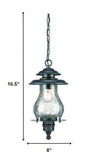 Matte Black Oil Lantern Hanging Light - Homeroots - Flyclothing LLC